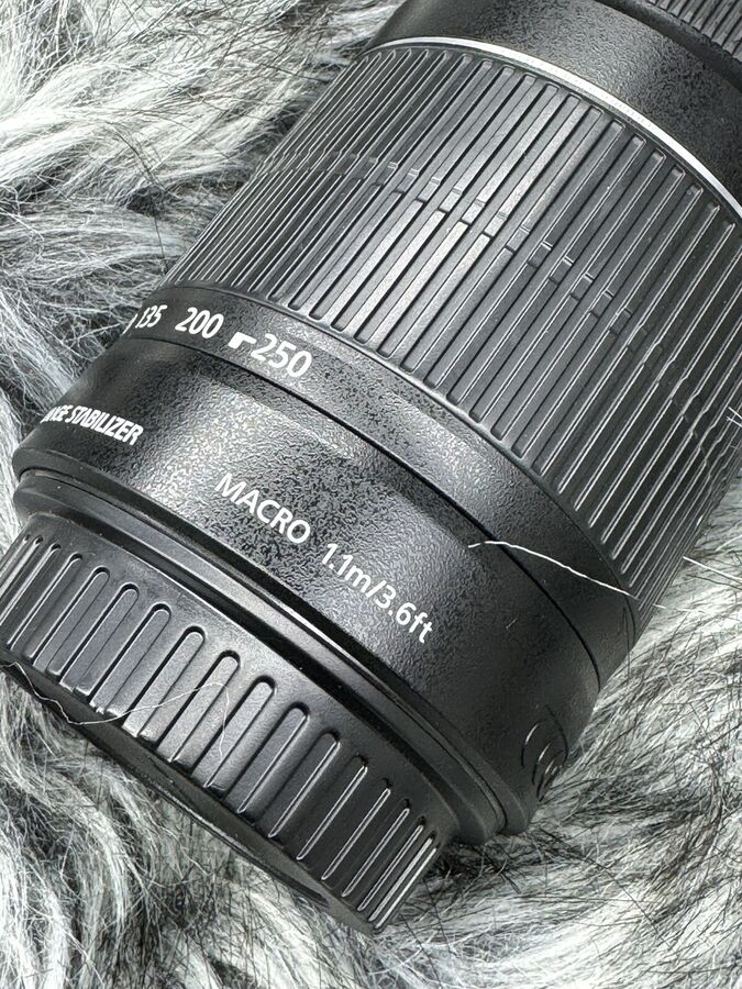 Canon EOS 77D 24.2 MP Digital SLR Camera with EF-S 18-55mm & EF-S 55-250mm Lenses