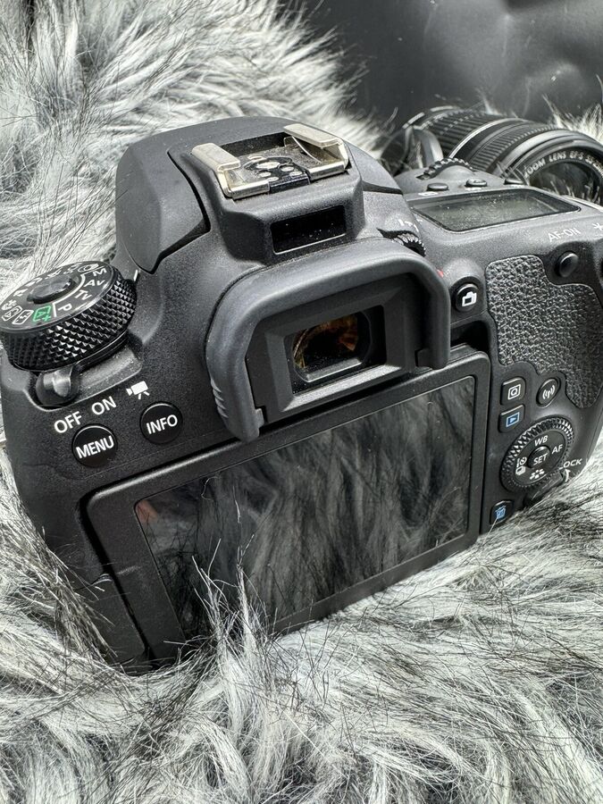 Canon EOS 77D 24.2 MP Digital SLR Camera with EF-S 18-55mm & EF-S 55-250mm Lenses